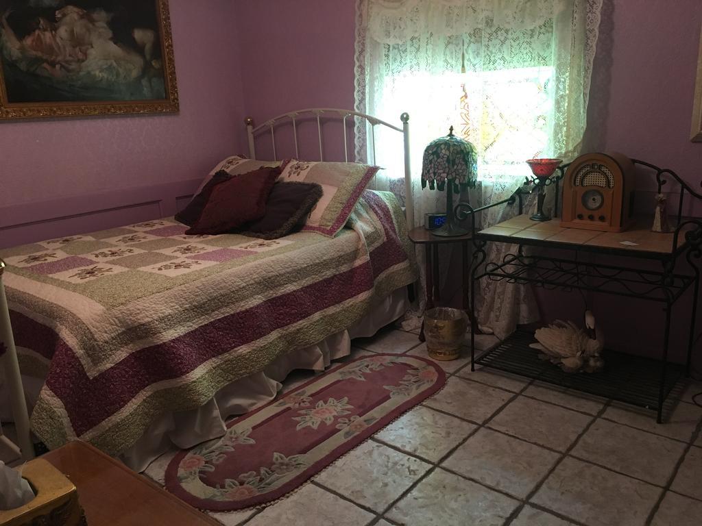 Scottys Junction シェイディー レディー ベッド＆ブレックファスト Bed & Breakfast エクステリア 写真